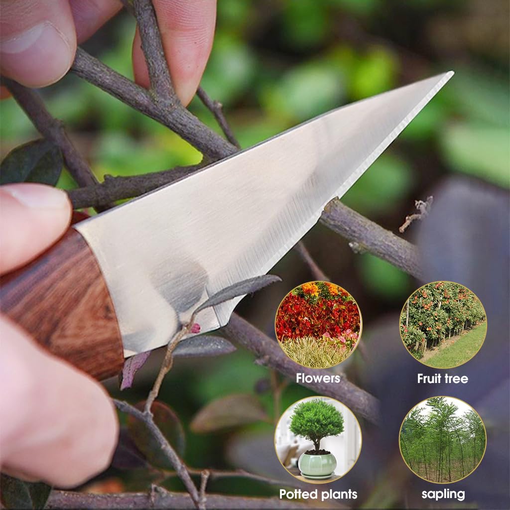 Optifit Grafting Tool with Portable Laether Pouch, Stainless Steel Grafting Tool for Organic Fruits Tree, Shoot Tool Pruning Cutter with Wooden Handle Optifit Grafting Tool with Portable Laether Pouch, Stainless Steel Grafting Tool for Organic Fruits Tree, Shoot Tool Pruning Cutter with Wooden Handle